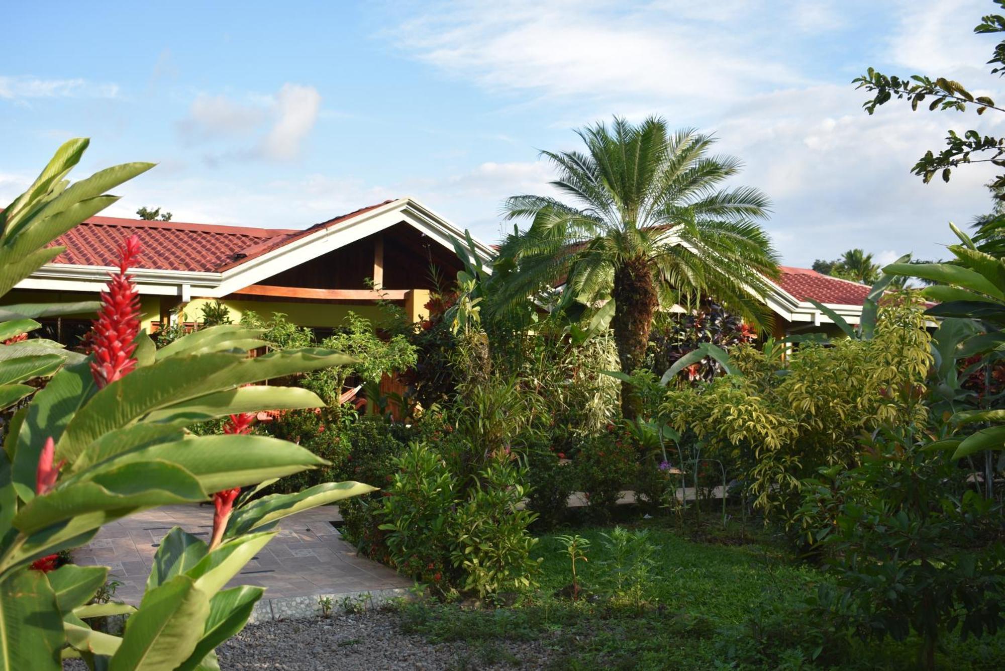 Hotel Roca Negra Del Arenal La Fortuna Quarto foto